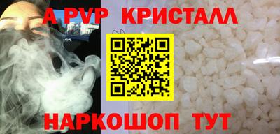 твердый Кингисепп