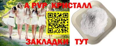 твердый Кингисепп