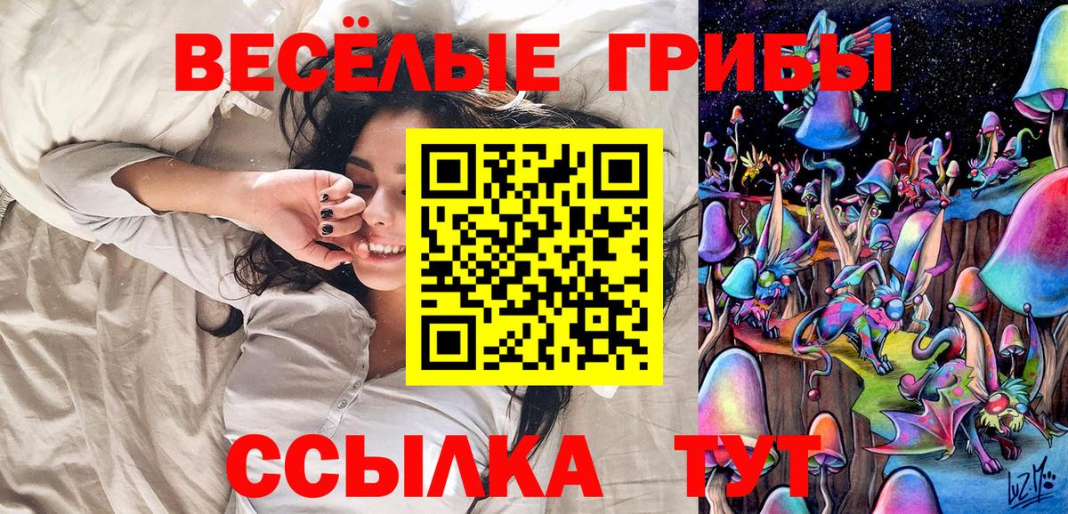 Галлюциногенные грибы Psilocybe Людиново